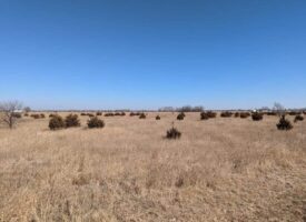 00000 E K50 HWY, BURRTON, PIC 4