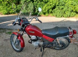 IMG95202206079519085236495HDR