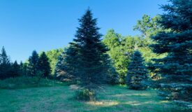 Recreational Getaway or Beautiful Building Site Vernon County WI