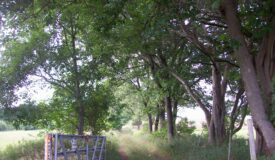 Marquette County Wisconsin Recreational Land for Sale