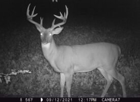 1217:091221:56F:0000:CAMERA7:2E[099:0453]G[040:0x0036]