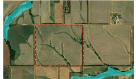 LIVE LAND AUCTION – 132 ACRES AG LAND, MARION COUNTY, KANSAS