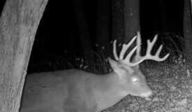 40 Acre Parcel Monroe County WI