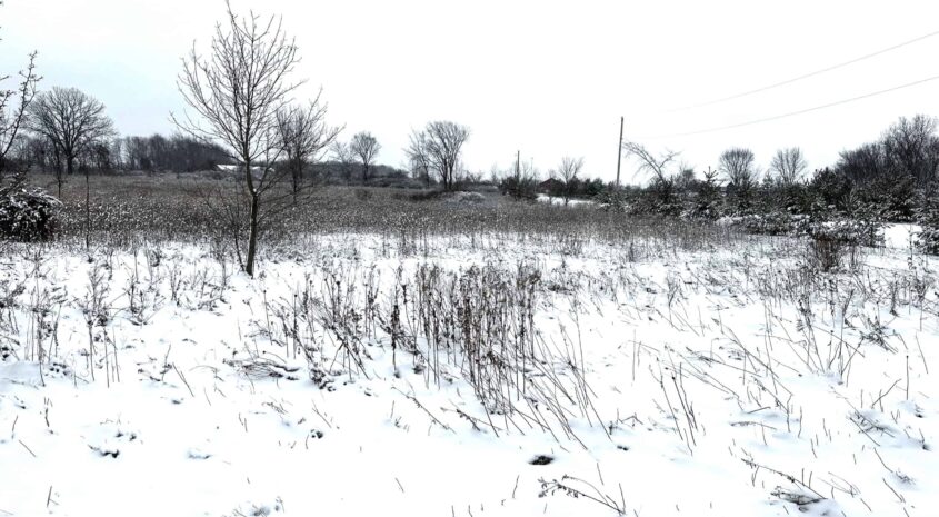 LowellRd