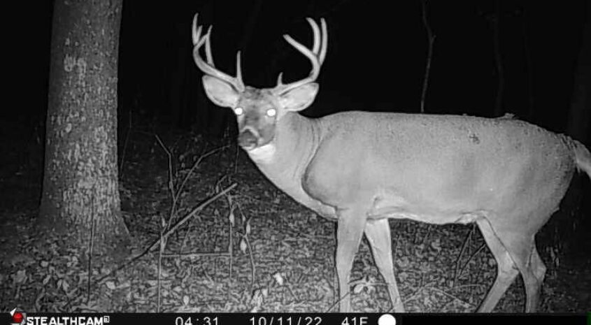 Trail Camera[MP:04][TP:041F][IMEI:861412046836537]