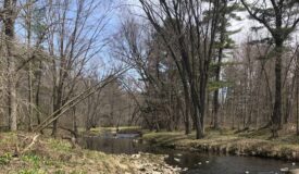 Diverse Northwoods Property CLark County WI