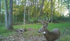 World Class Hunting Land for Sale in Crawford County, Wisconsin