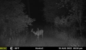 Hunting Camp for Sale in Reedsburg, WI