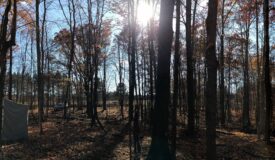 65 Acres Set Up Perfectly in Clark County!