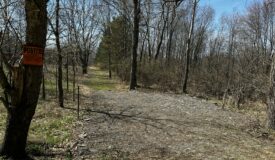 Small, Affordable, Great Hunting Acreage Jackson County MI