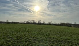 32+/- Acres of Winnebago County Tillable Land