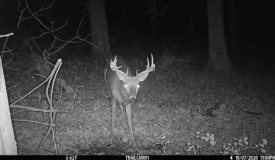 Turnkey Hunting Camp for Sale in Richland Center, WI