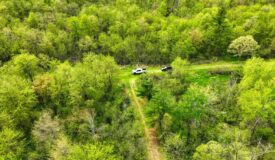 138+/- Wooded Turn-Key Acres Monroe County