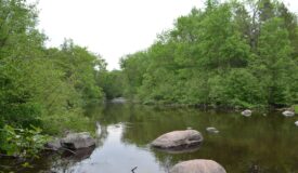 Unique hunting/fishing/recreational/investment/buildable property Marathon County WI