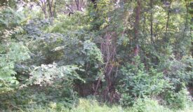 Building site located in Marquette County Wisconsin