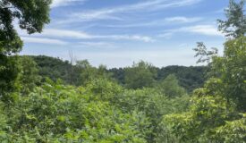 29+ acre parcel located in the Driftless Area of Wisconsin