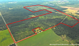 Waushara County 367 Timber & Hunting Tract