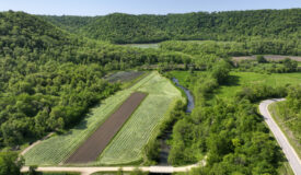 161+/- Acre Property Nestled in the Heart of the Driftless Region