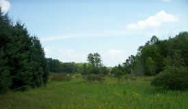 Trophy Whitetail Deer Hunting Property Columbia County WI