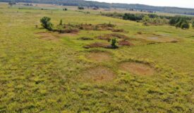 Juneau County WI 77 acres of developed WRP Land