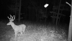 Hunting Land for Sale in Richland County, Wisconsin