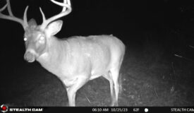 Hunting Camp with Land for Sale Near Castle Rock Lake