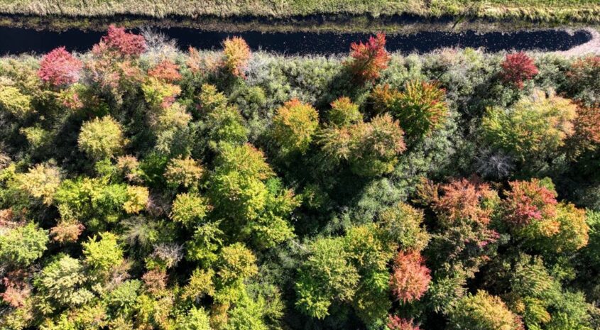 021-DJI_0642_15