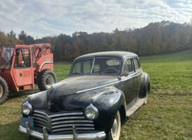 Photo Oct 22 2024, 2 17 17 PM