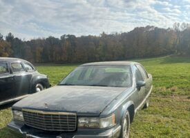 Photo Oct 22 2024, 2 17 22 PM