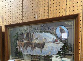 Photo Nov 18 2024, 9 11 13 AM