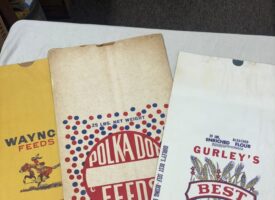 Photo Nov 19 2024, 9 41 05 AM