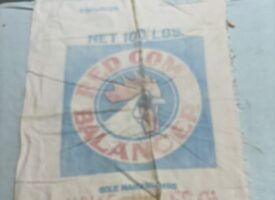 Photo Nov 20 2024, 1 11 01 PM