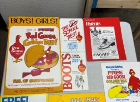 Photo Nov 20 2024, 10 53 10 AM