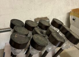 Photo Nov 27 2024, 11 35 26 AM