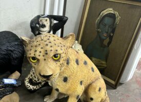 Photo Oct 21 2024, 1 10 08 PM