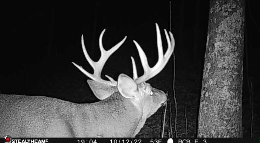Trail Camera[MP:05][TP:053F][IMEI:861412048785419]