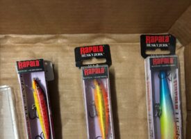 Photo Jan 16 2025, 11 50 40 AM