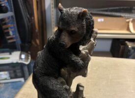 Photo Jan 16 2025, 11 51 33 AM