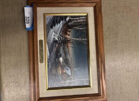 Photo Jan 16 2025, 11 52 40 AM