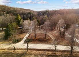 13-DJI_20250318181344_0737_D