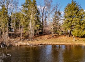 22-DJI_20250318181722_0779_D