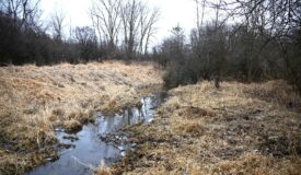 Hunting land in Michigan