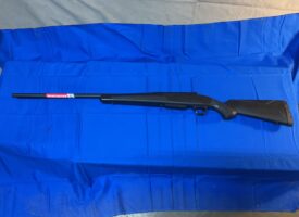 Photo Apr 08 2025, 3 46 17 PM