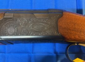 Photo Apr 08 2025, 4 08 42 PM