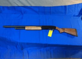 Photo Apr 08 2025, 4 20 27 PM