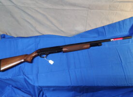 Photo Apr 11 2025, 1 00 08 PM