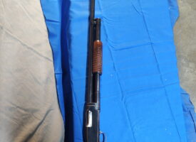 Photo Apr 11 2025, 1 00 08 PM (3)