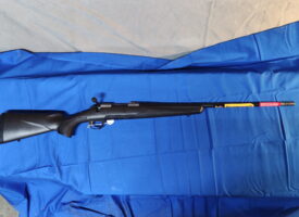 Photo Apr 11 2025, 1 00 08 PM (6)