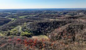 66+/- Acre Buildable Recreational Retreat – Mindoro, WI | La Crosse County