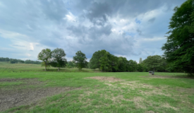 Secluded 100 Acre Mol Ranch in McCurtain County OK
